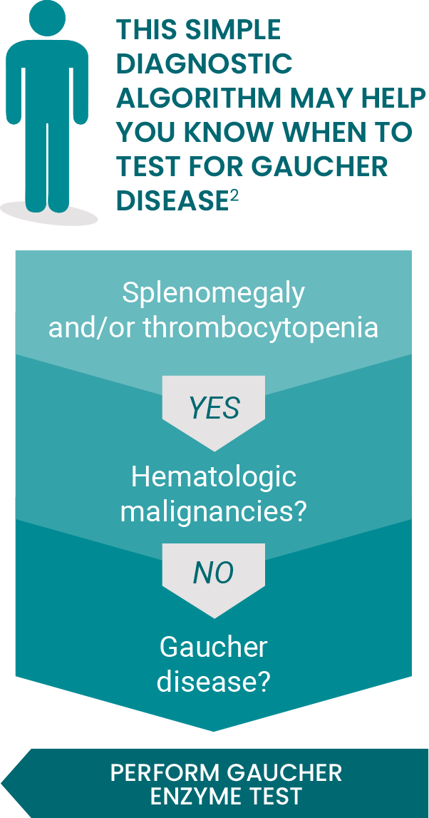 Simple diagnostic algorithm may help test for Gaucher disease